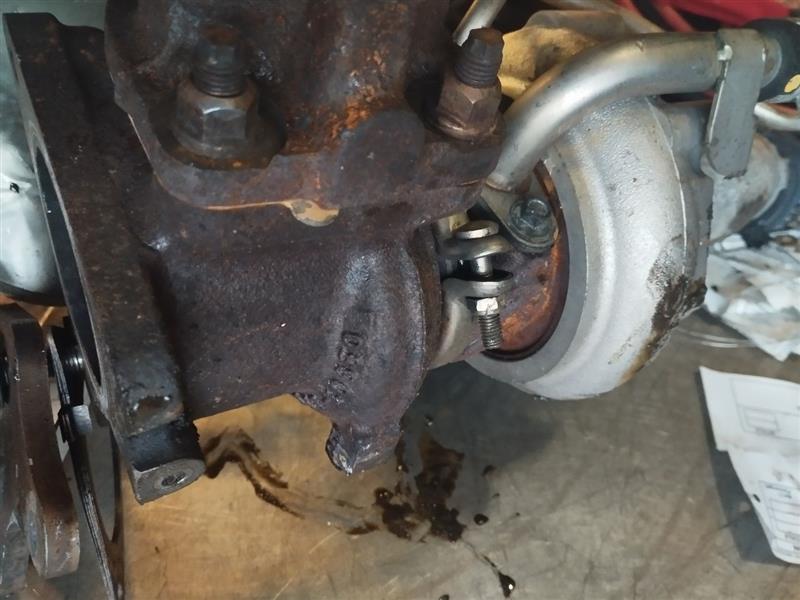 2012 NISSAN JUKE 4cyl Gasoline Turbo 1.6 Turbo-Supercharger - 164334 — photo 5