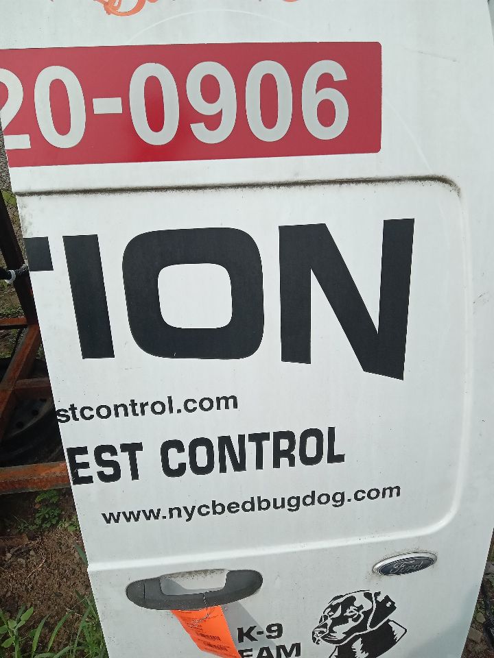 2011 FORD TRANSIT CONNECT 2.0L 4cyl Gasoline Right Dr Assm, Rear Back - 164959 — photo 8