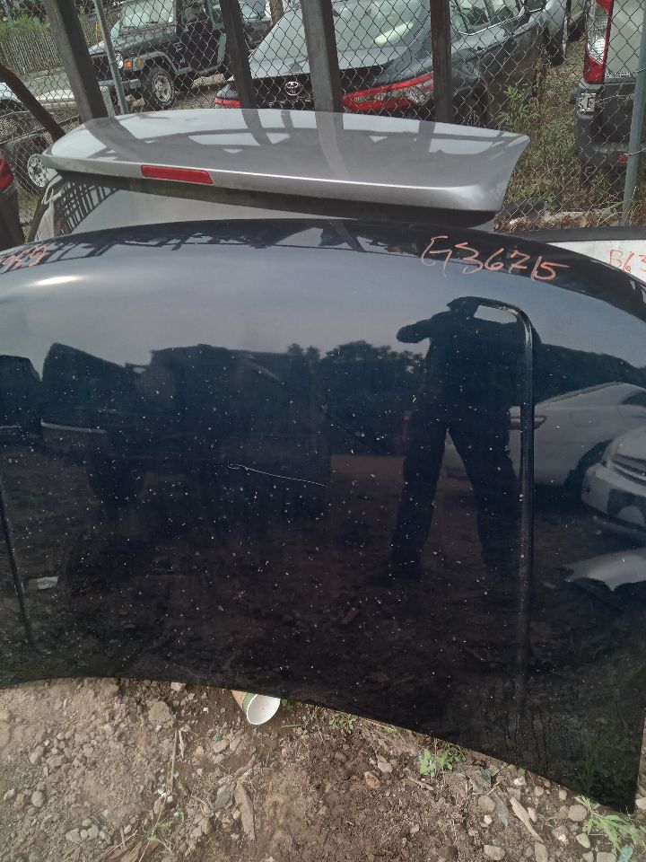 2009 FORD FLEX 6cyl Gasoline 3.5 HOOD - 203312