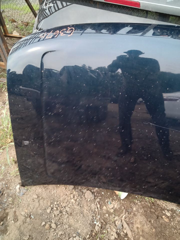 2009 FORD FLEX 6cyl Gasoline 3.5 HOOD - 203312 — photo 2