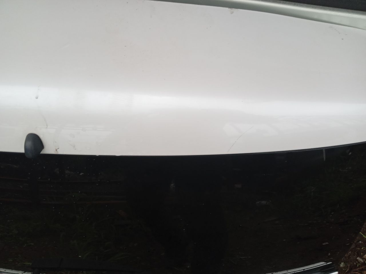 2013 FORD FLEX 6cyl Gasoline 3.5 Decklid  Tailgate - 203521 — photo 5