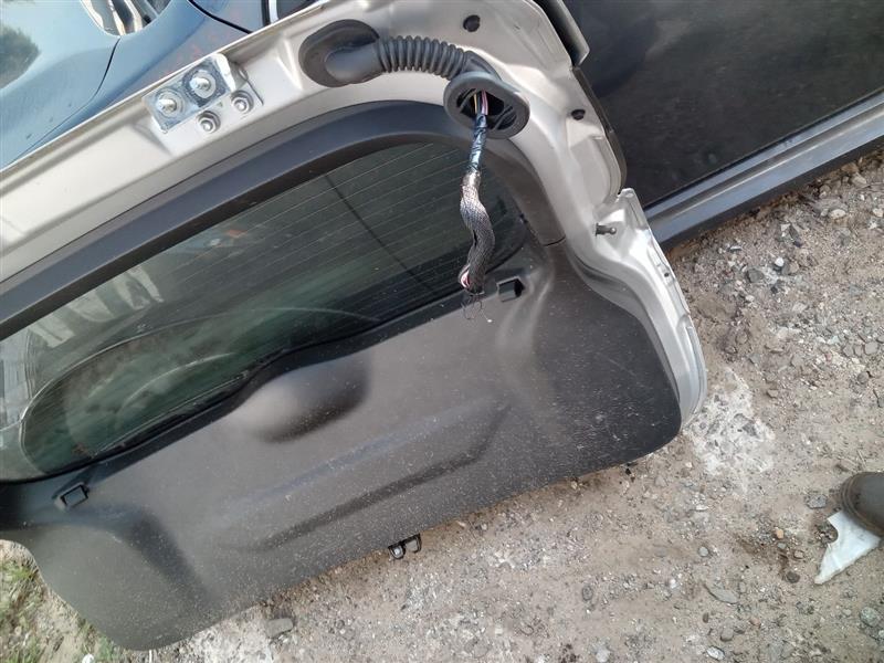 2019 NISSAN ROGUE SPORT 2.0L 4cyl Gasoline VVT Decklid  Tailgate - 205760