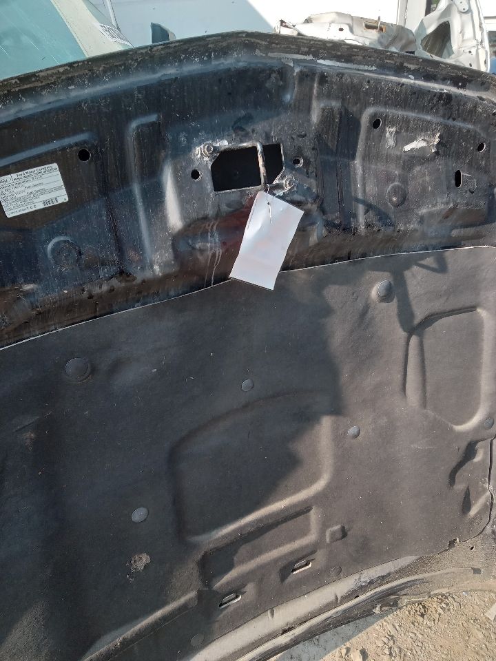 2010 FORD MUSTANG HOOD - 207073 — photo 7