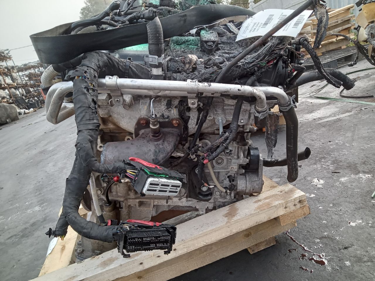 2019 DODGE 1500 PICKUP 3.6L 6cyl VVT ENGINE ASSEMBLY - 214649 — photo 3