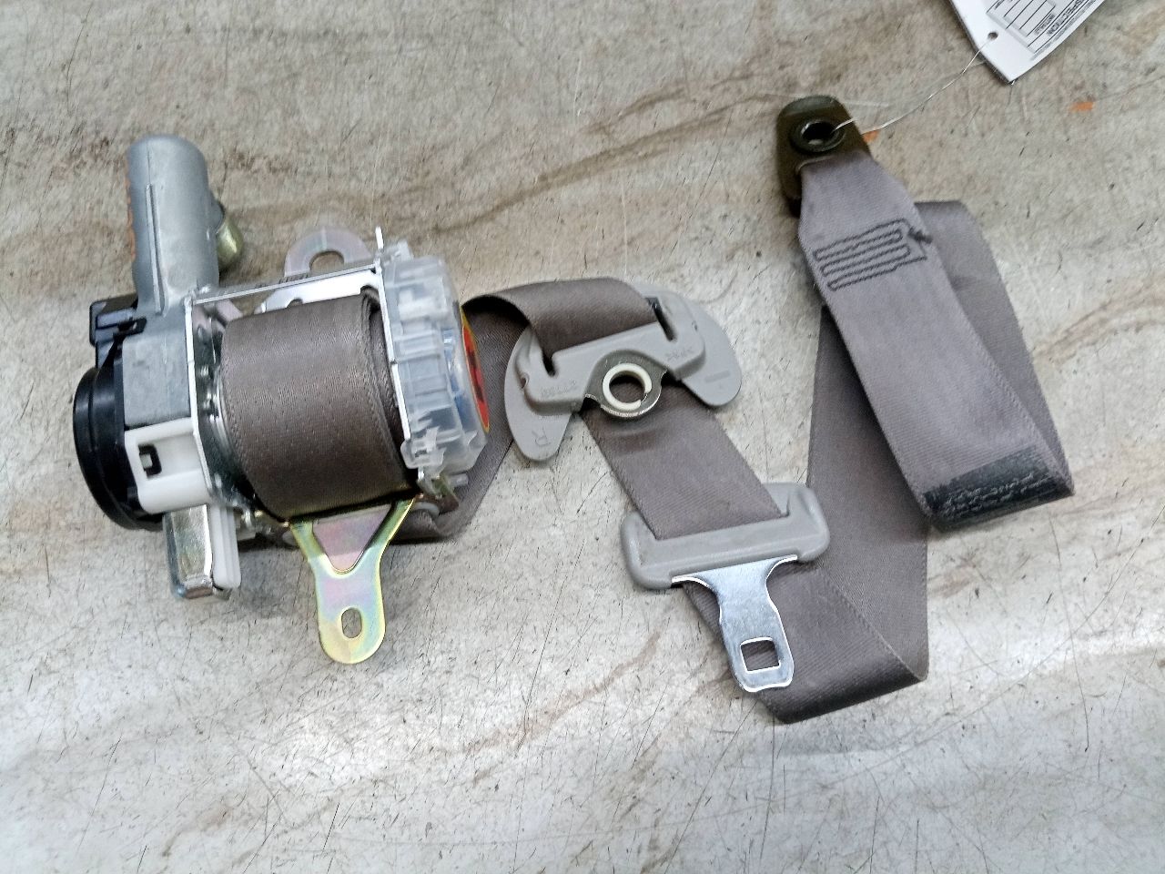 2006 LEXUS GS300 6cyl Gasoline 3.0 Seat Belt, Front - 223605