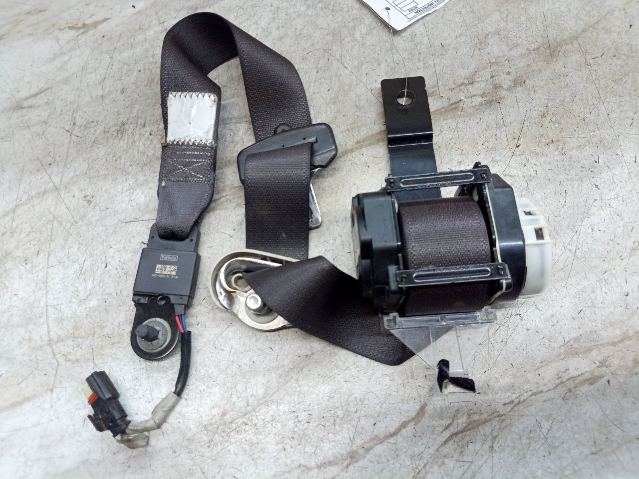 2010 FORD FLEX 6cyl Gasoline 3.5 Seat Belt, Front - 232400