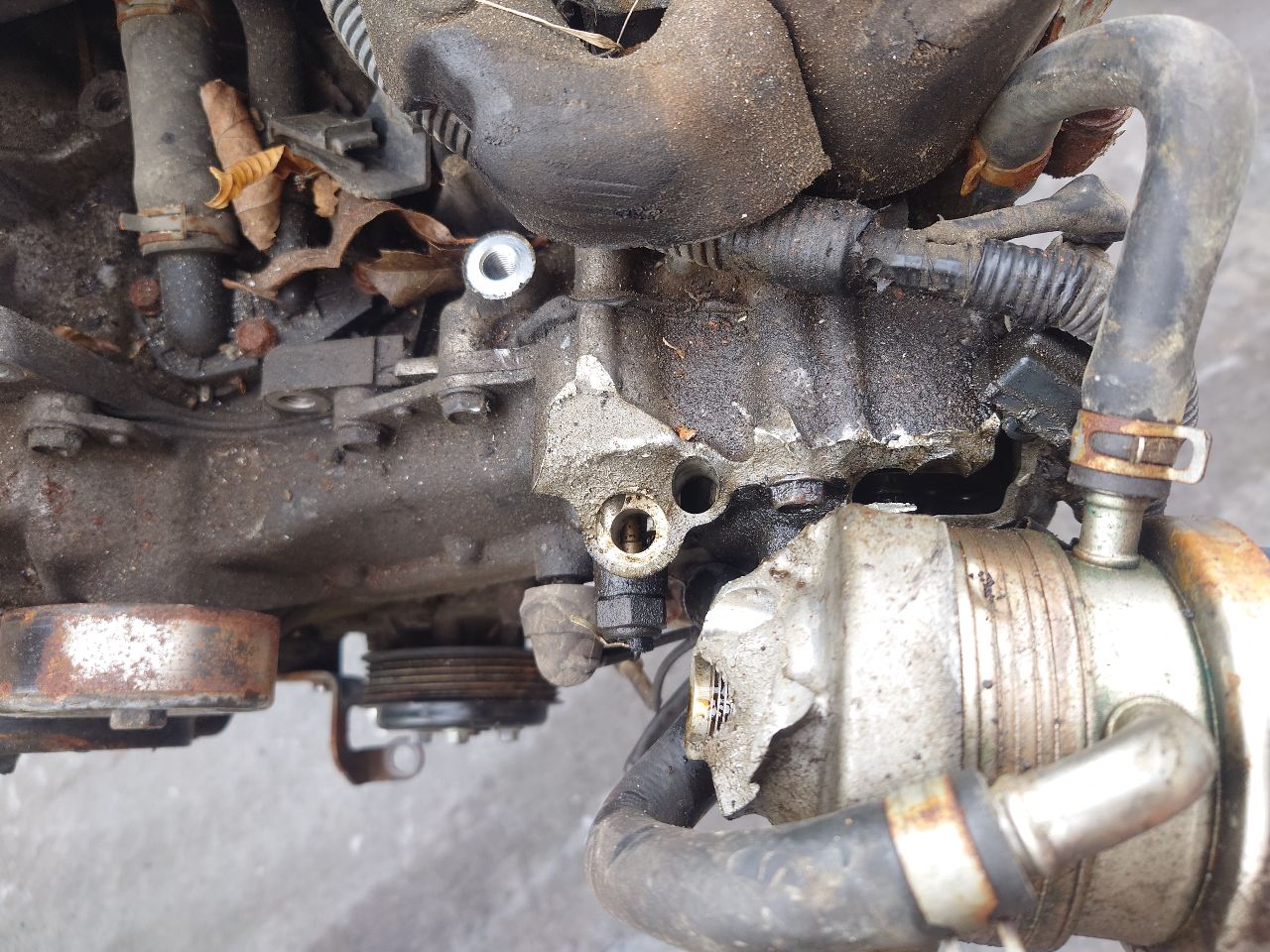 2015 SUBARU WRX 4cyl Gasoline Turbo 2.0 ENGINE ASSEMBLY - 238250 — photo 2