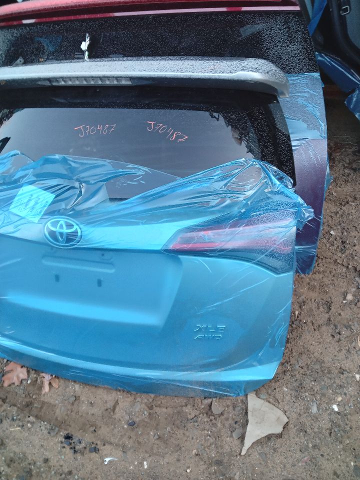 2017 TOYOTA RAV4 4cyl Gasoline 2.5 DOHC Decklid  Tailgate - 250288 — photo 1