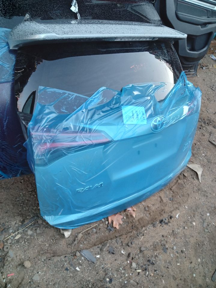 2017 TOYOTA RAV4 4cyl Gasoline 2.5 DOHC Decklid  Tailgate - 250288 — photo 3