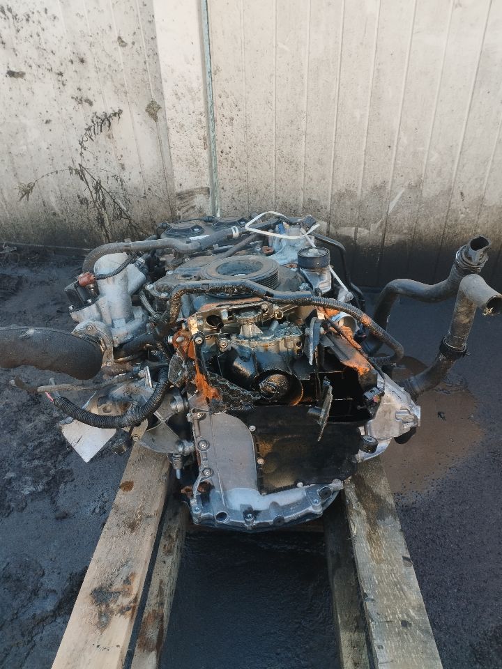 2017 AUDI A4 4cyl Gasoline Turbo 2.0 ENGINE ASSEMBLY - 256078
