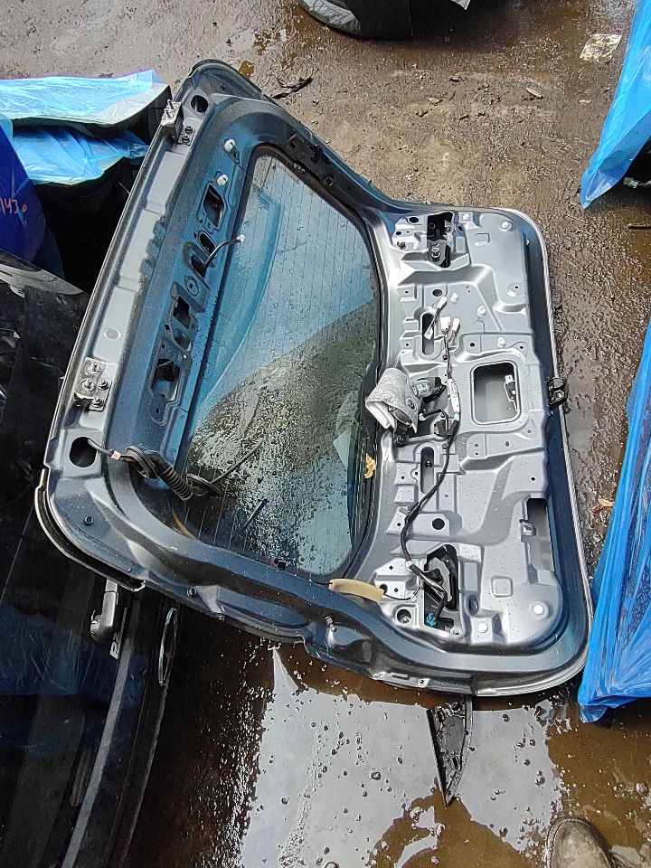 2019 NISSAN ROGUE SPORT 2.0L 4cyl Gasoline VVT Decklid  Tailgate - 325577