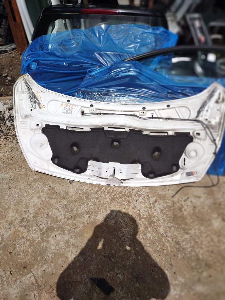 2015 FORD TRANSIT CONNECT 1.6L 4cyl Turbo Gasoline HOOD - 327323