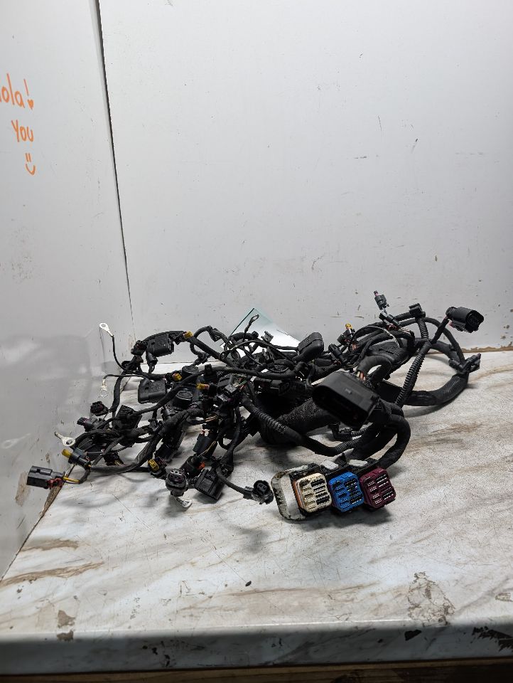 2019 AUDI S5 3.0L 6cyl Turbo Gasoline ENGINE WIRE HARNESS - 352239