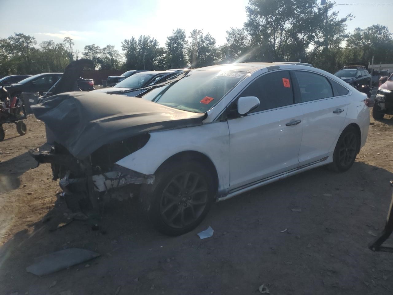 2019 HYUNDAI SONATA 2.0L 4cyl Turbo Gasoline ENGINE ASSEMBLY - 396123