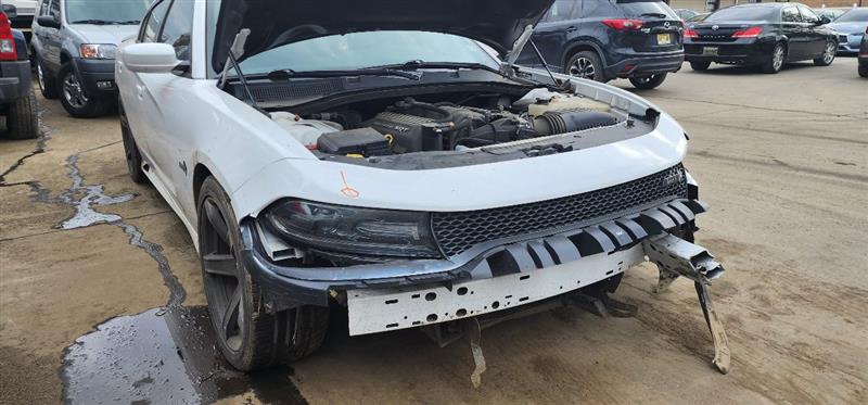 2018 DODGE CHARGER 6.4L 8cyl Gasoline Left STRUT - 397663 — photo 3