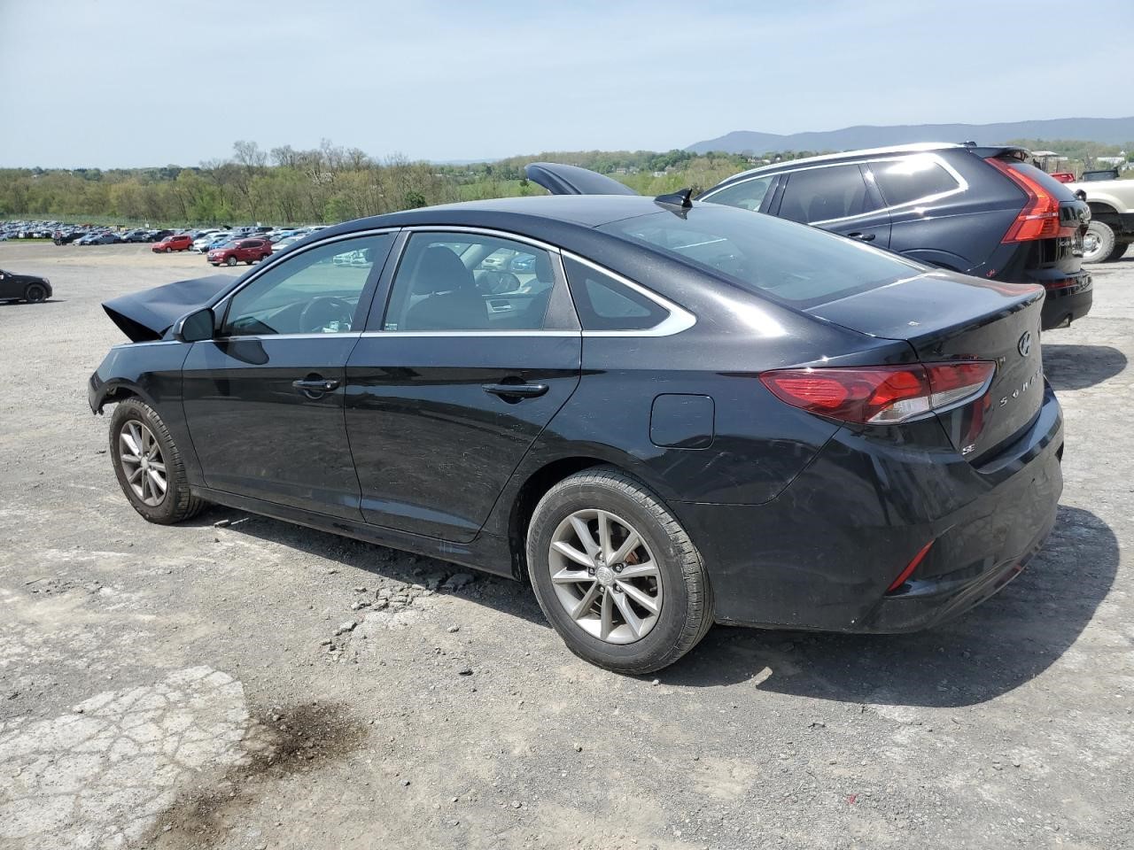 2019 HYUNDAI SONATA 2.4L 4cyl Gasoline VVT Decklid  Tailgate - 401183 — photo 2