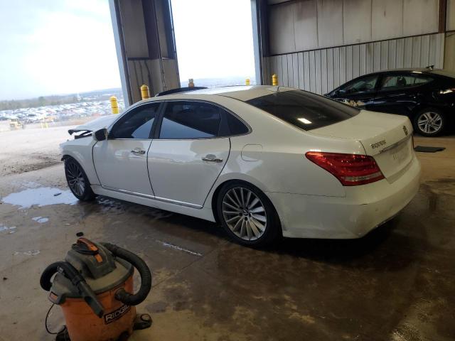 2014 HYUNDAI EQUUS 8cyl Gasoline 5.0 Decklid  Tailgate - 401217 — photo 2