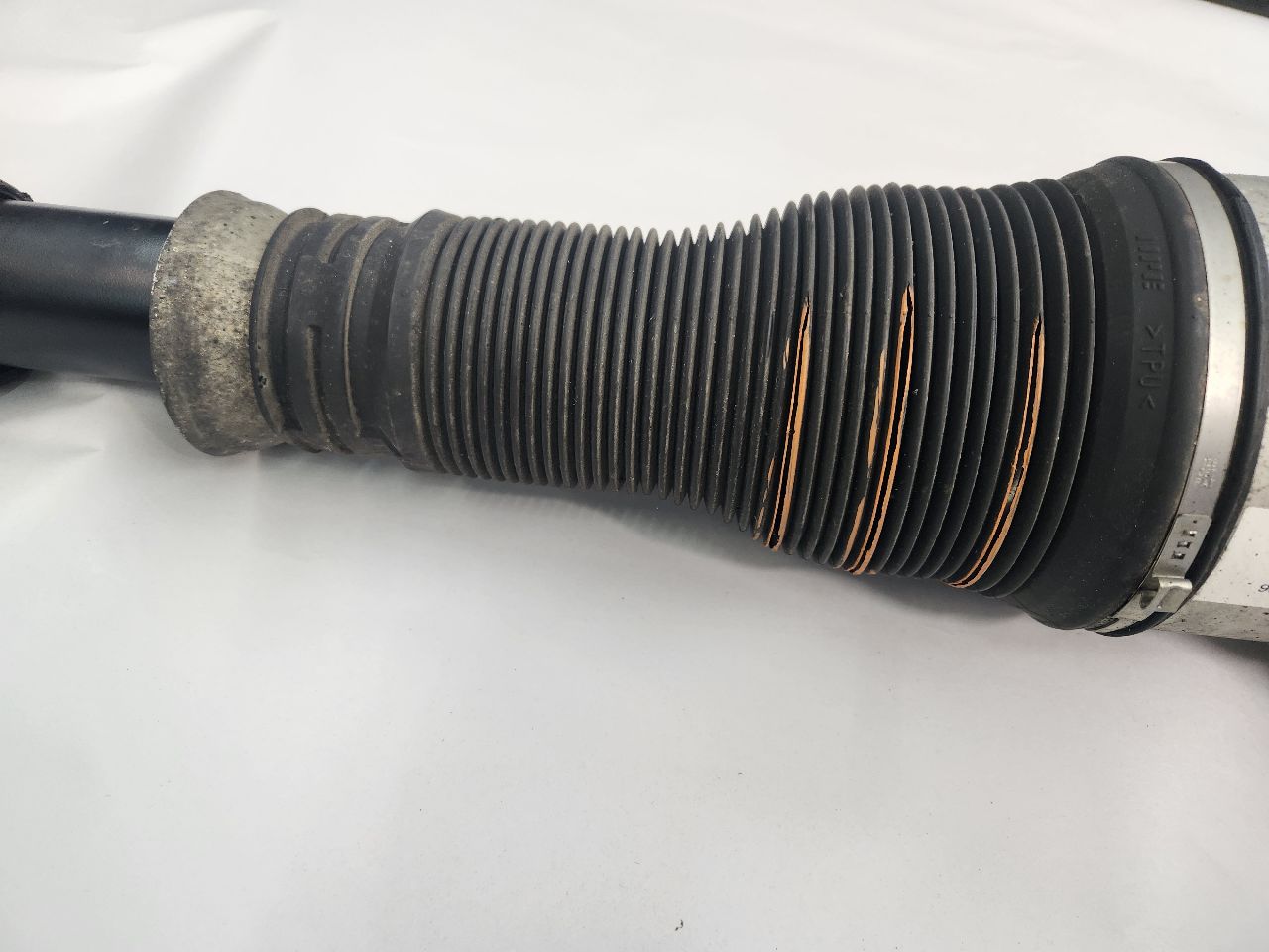 2009 MERCEDES-BENZ S-CLASS 8cyl Gasoline 5.5 Left STRUT - 431784 — photo 3