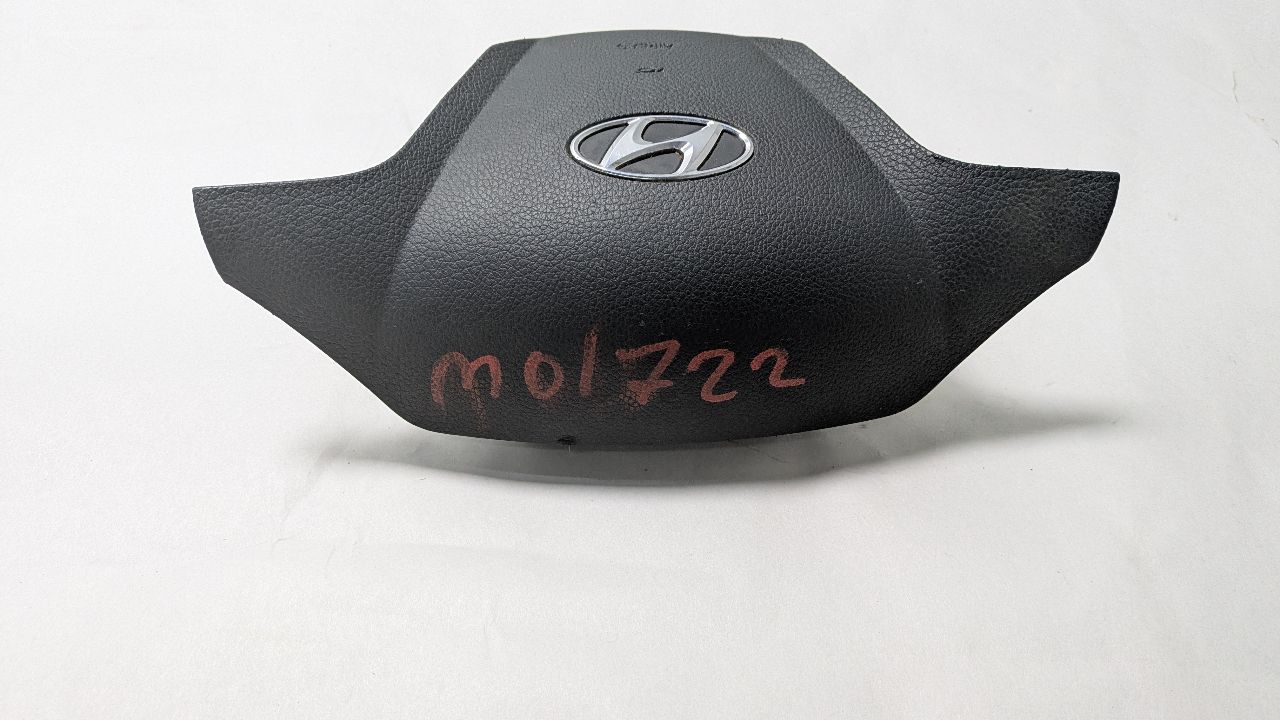 2017 HYUNDAI SANTA FE 4cyl Gasoline Turbo 2.0 Left AIR BAG - 439102