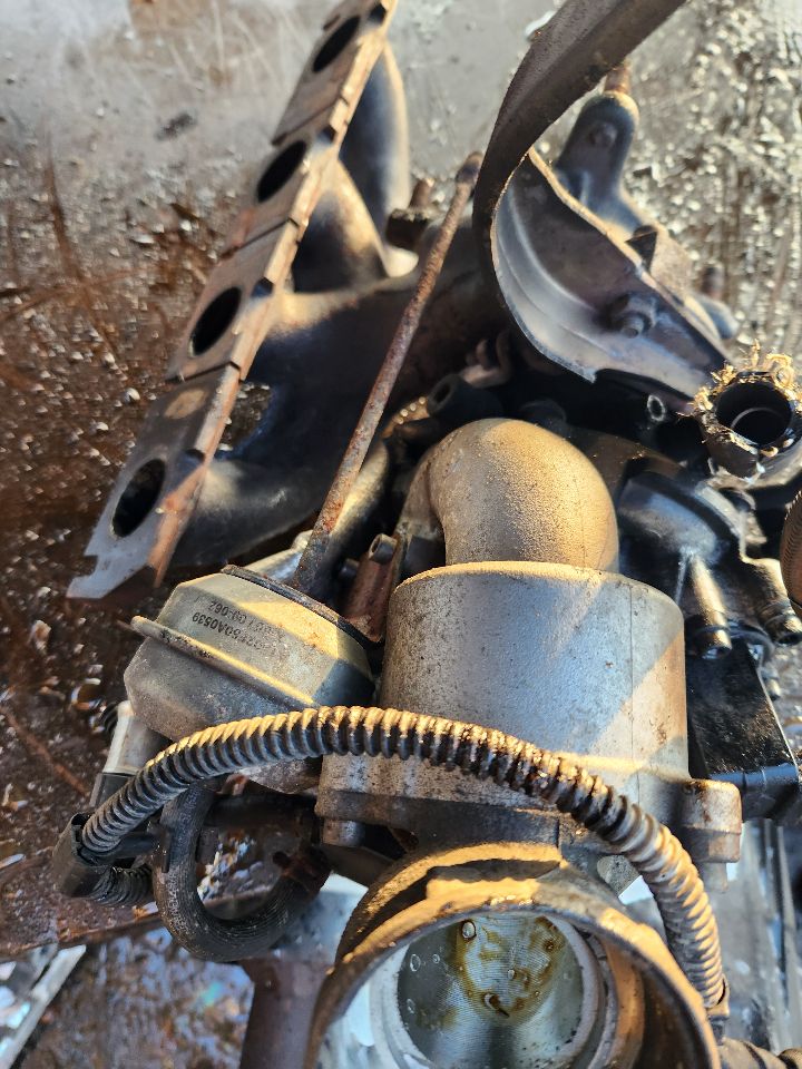 2009 VOLKSWAGEN TIGUAN 4cyl Gasoline Turbo 2.0 EXHAUST MANIFOLD - 440614