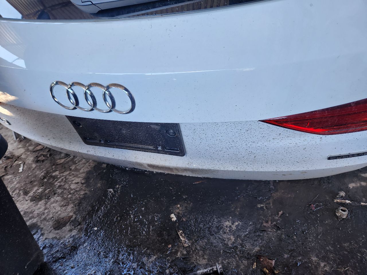 2025 AUDI Q3 Decklid  Tailgate - 448459 — photo 4