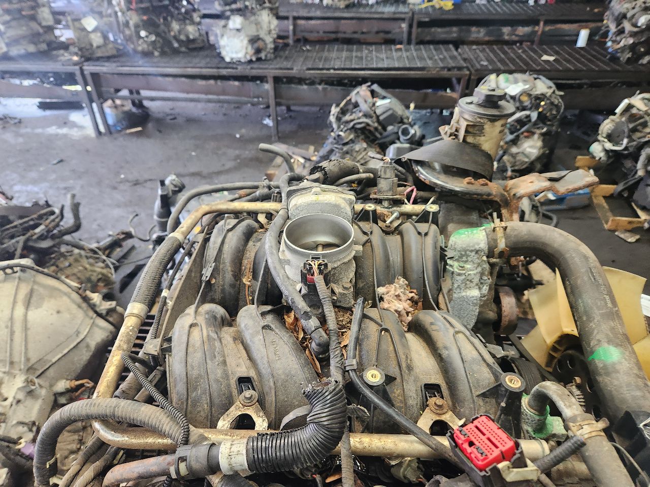 2004 FORD F150 PICKUP ENGINE ASSEMBLY - 467246 — photo 3