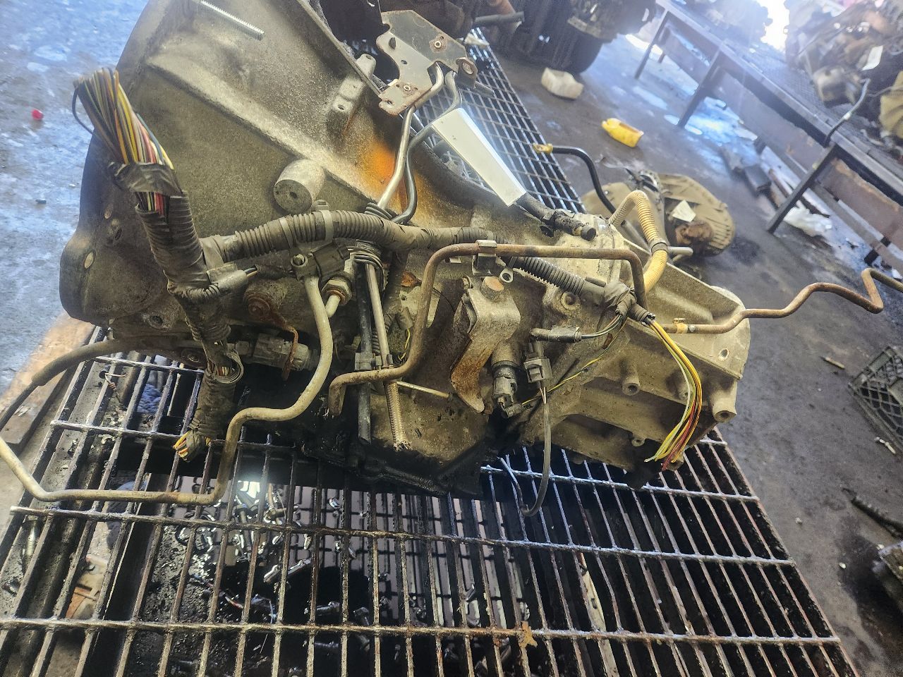 2005 DODGE DAKOTA Transmiss,Transaxle - 468229 — photo 3
