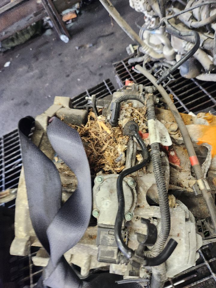 2012 FORD FOCUS Transmiss,Transaxle - 498059