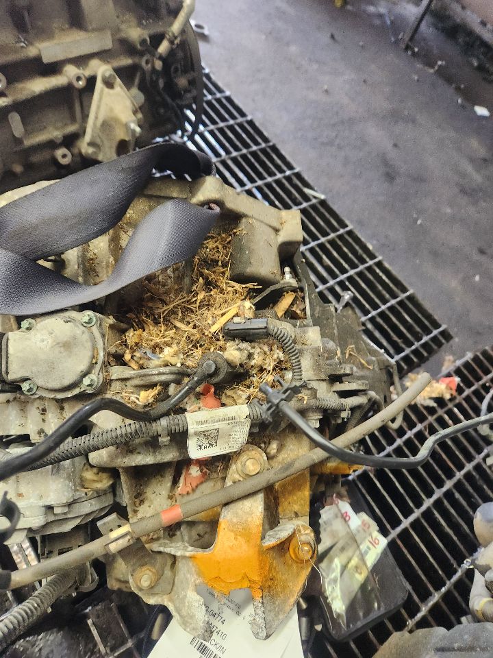 2012 FORD FOCUS Transmiss,Transaxle - 498059 — photo 5