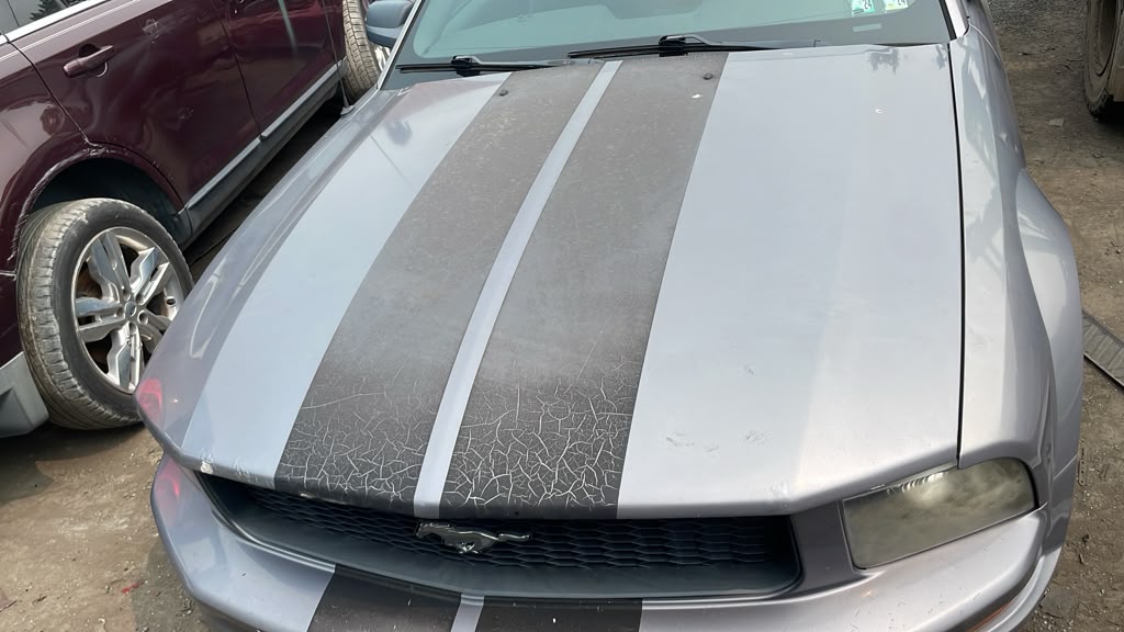 2006 FORD MUSTANG HOOD - 498748 — photo 5