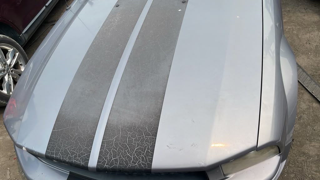 2006 FORD MUSTANG HOOD - 498748 — photo 6