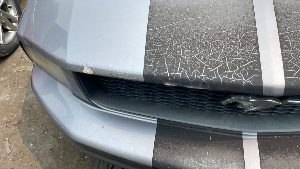 2006 FORD MUSTANG HOOD - 498748 — photo 7