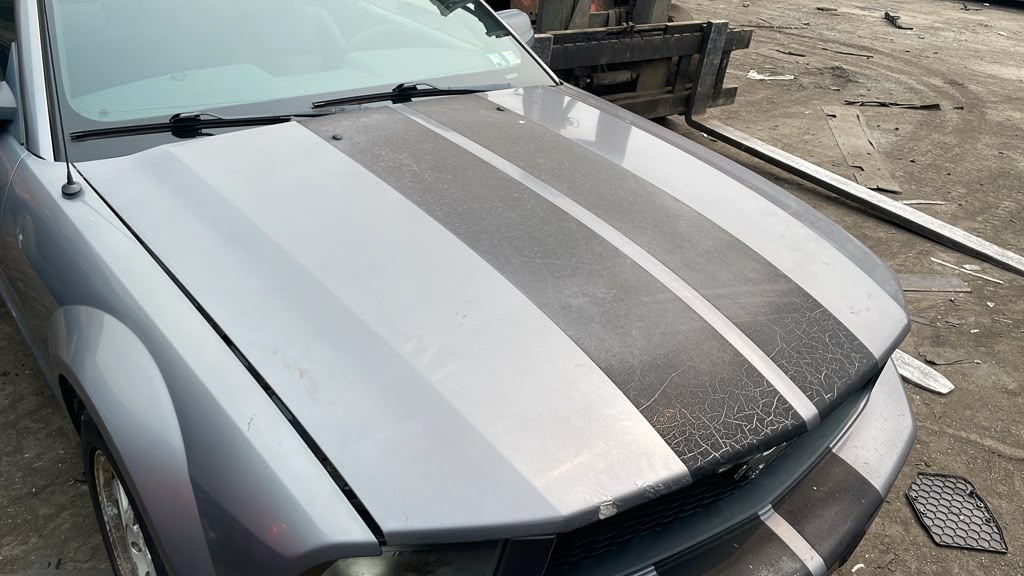 2006 FORD MUSTANG HOOD - 498748 — photo 8