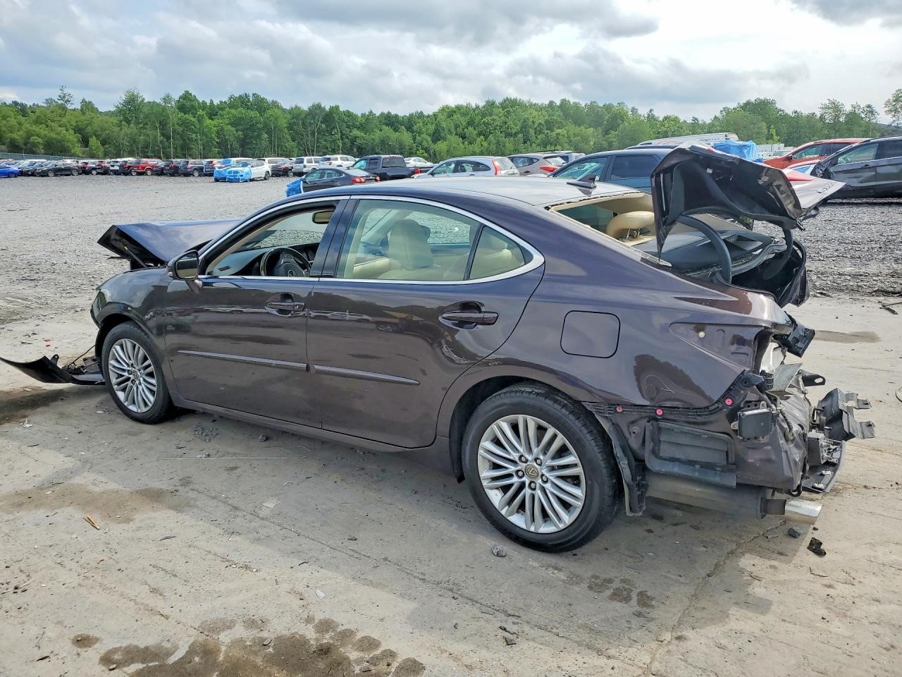 2014 LEXUS ES350 Left DOOR ASSEMBLY, FR - 499779 — photo 2