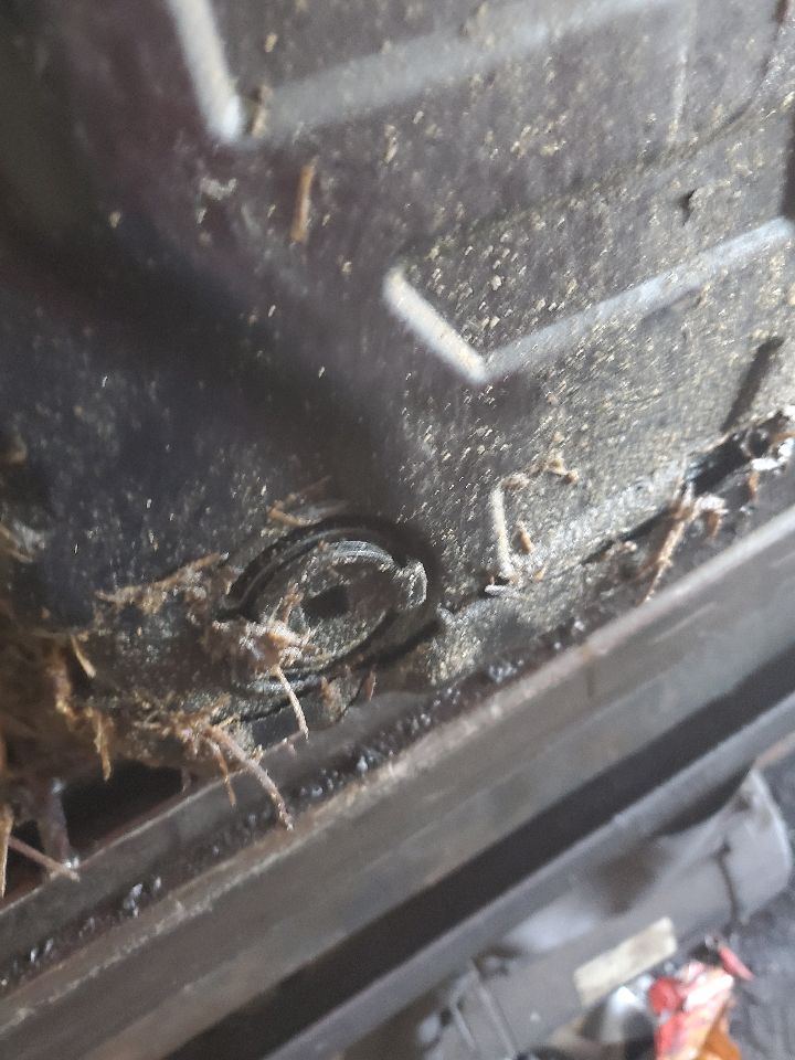 2014 HYUNDAI ELANTRA Transmiss,Transaxle - 501803 — photo 6