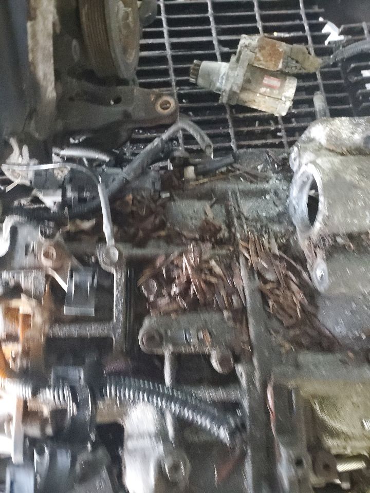 2011 TOYOTA SIENNA Transmiss,Transaxle - 502807 — photo 5