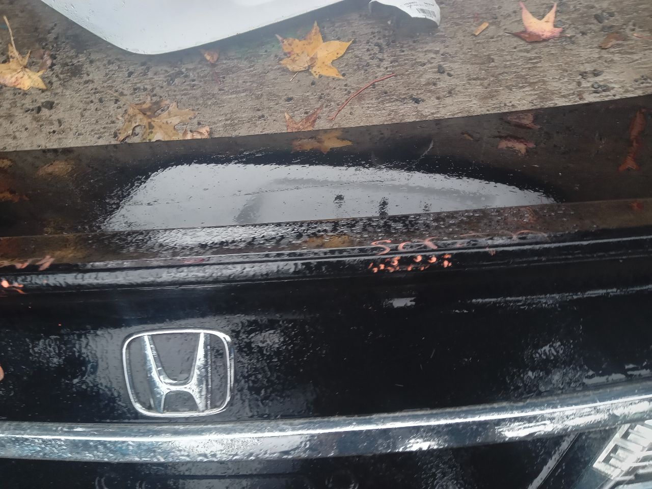 2013 HONDA CIVIC Decklid  Tailgate - 7973 — photo 7